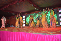 DSC_0181.JPG